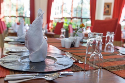 African Tulip image 10