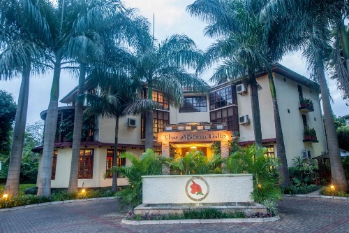 African Tulip image 11