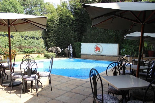 African Tulip image 14