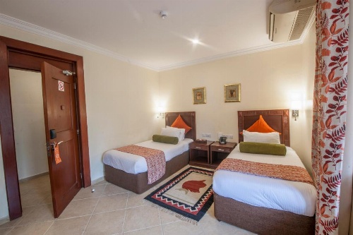 African Tulip image 16