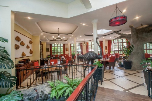 African Tulip image 19