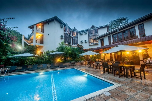 African Tulip image 20