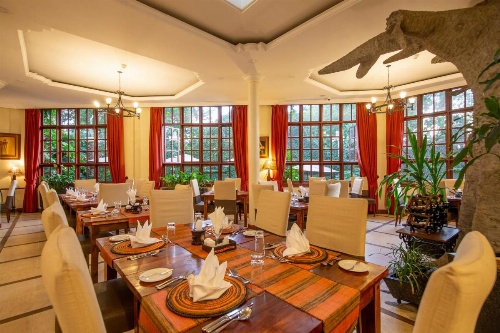 African Tulip image 22