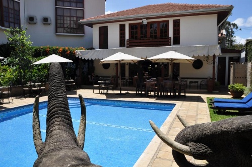 African Tulip image 23