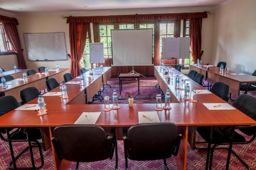 African Tulip image 26