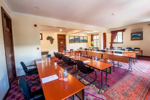 African Tulip image 27