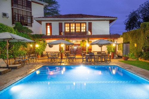 African Tulip image 28