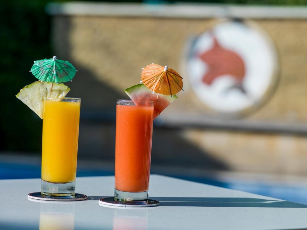 African Tulip Main image