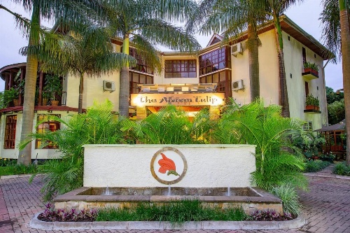 African Tulip image 29