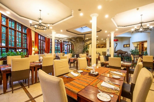 African Tulip image 31