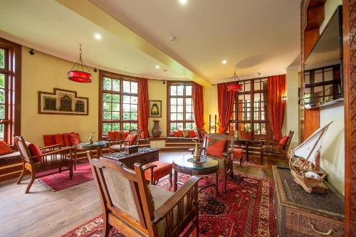 African Tulip image 33