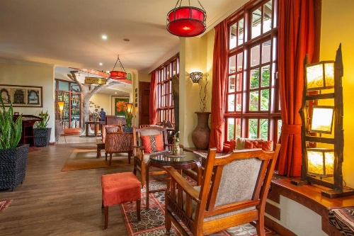 African Tulip image 34