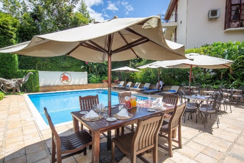 African Tulip image 35