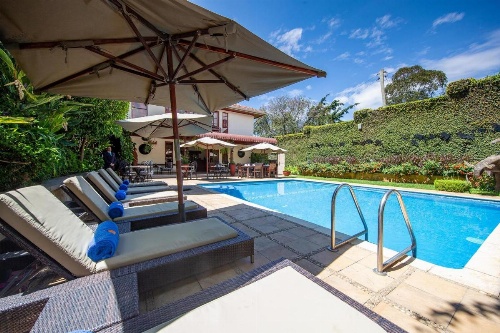 African Tulip image 36