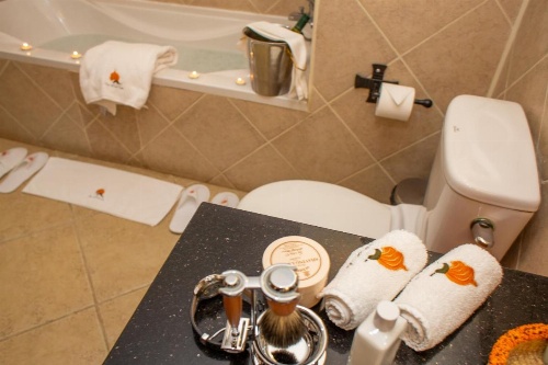 African Tulip image 42