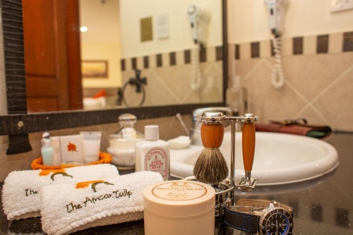 African Tulip image 44