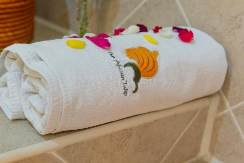 African Tulip image 6